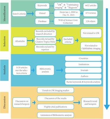 Trends and hotspots in the field of diabetic retinopathy imaging research from 2000–2023